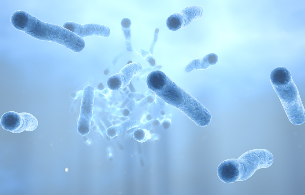 Легионеллы – патогенные грамотрицательные бактерии